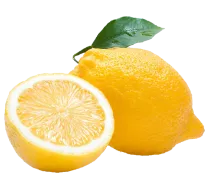 Limoncello Making Class